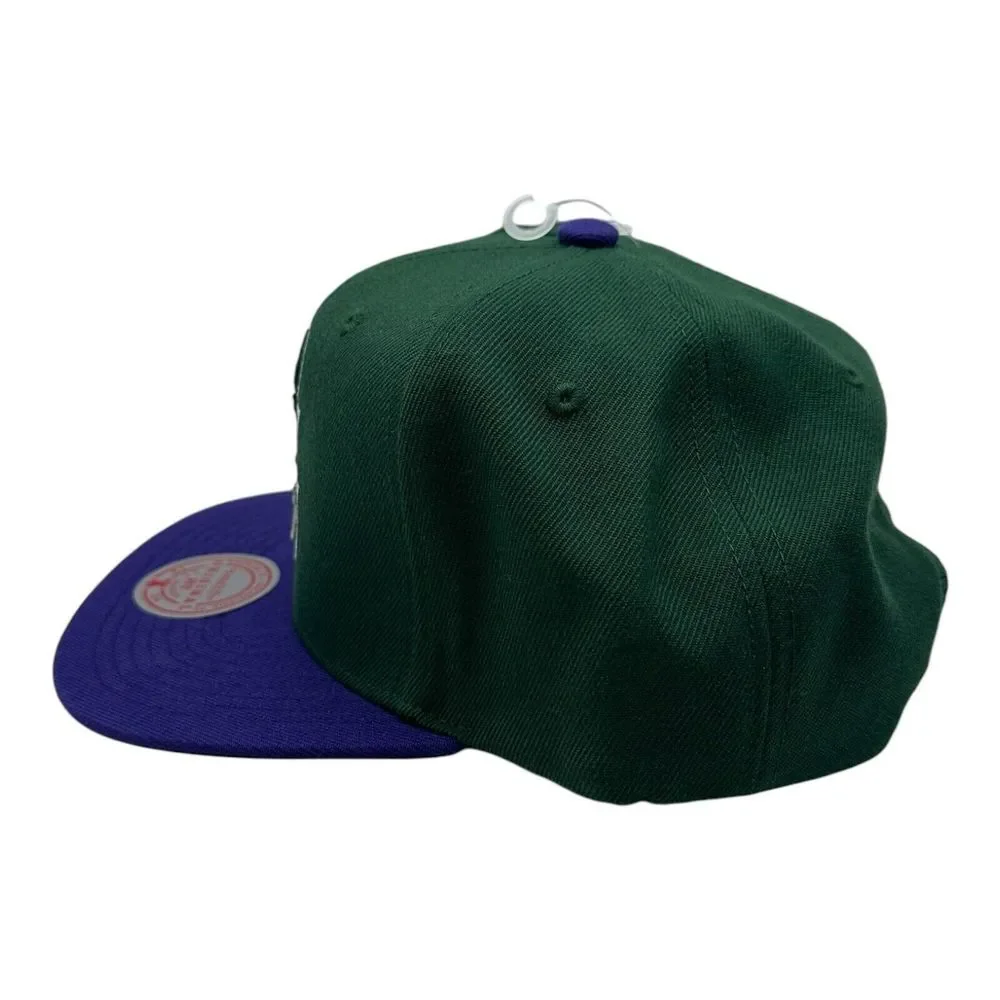 Milwaukee Bucks Mitchell & Ness NBA Snapback Hat Cap Hardwood Classics HWC Retro